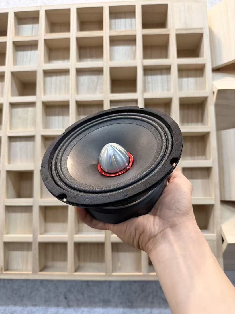 Car Speaker factory product